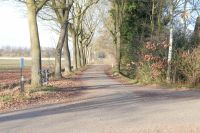 BRABANT07.jpg