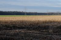 BRABANT09.jpg